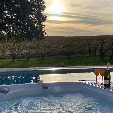 Best View, Pool And Spa On The Champagne Vineyard Saint-Thierry Kültér fotó