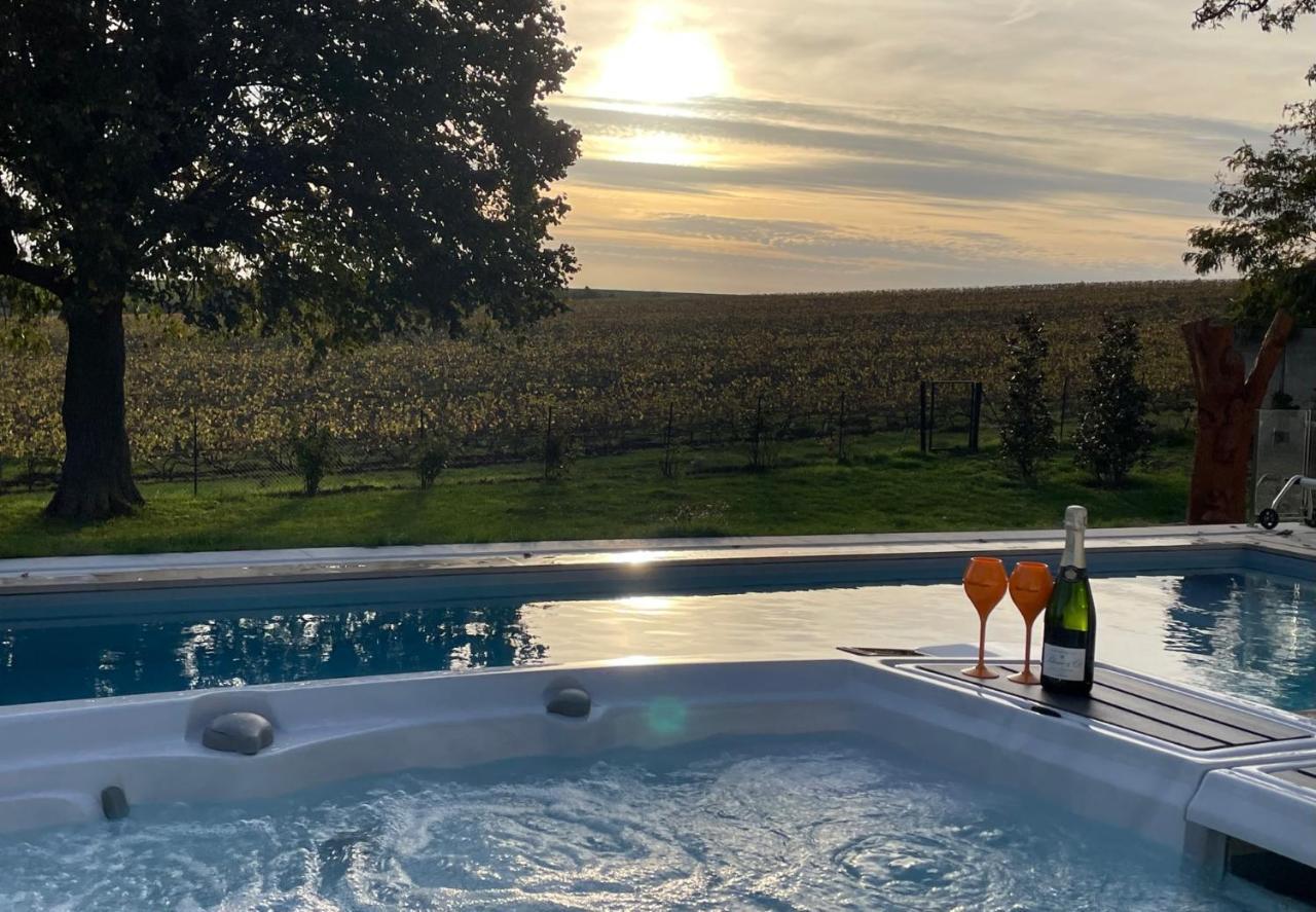 Best View, Pool And Spa On The Champagne Vineyard Saint-Thierry Kültér fotó