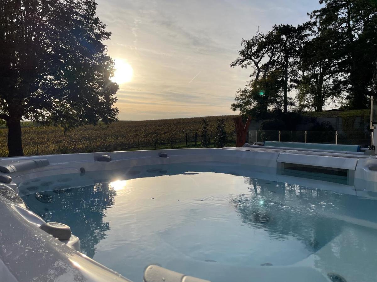 Best View, Pool And Spa On The Champagne Vineyard Saint-Thierry Kültér fotó