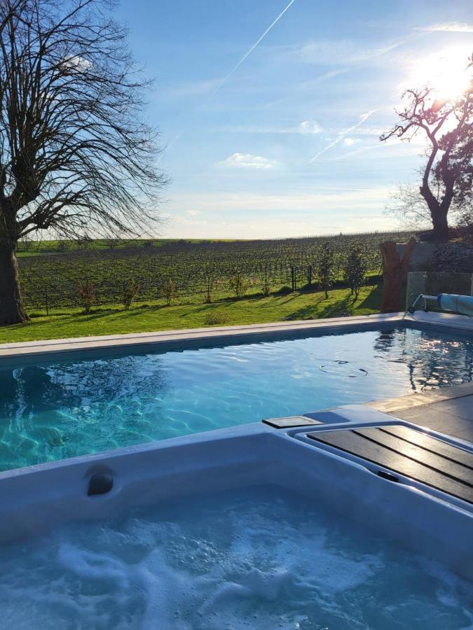 Best View, Pool And Spa On The Champagne Vineyard Saint-Thierry Kültér fotó