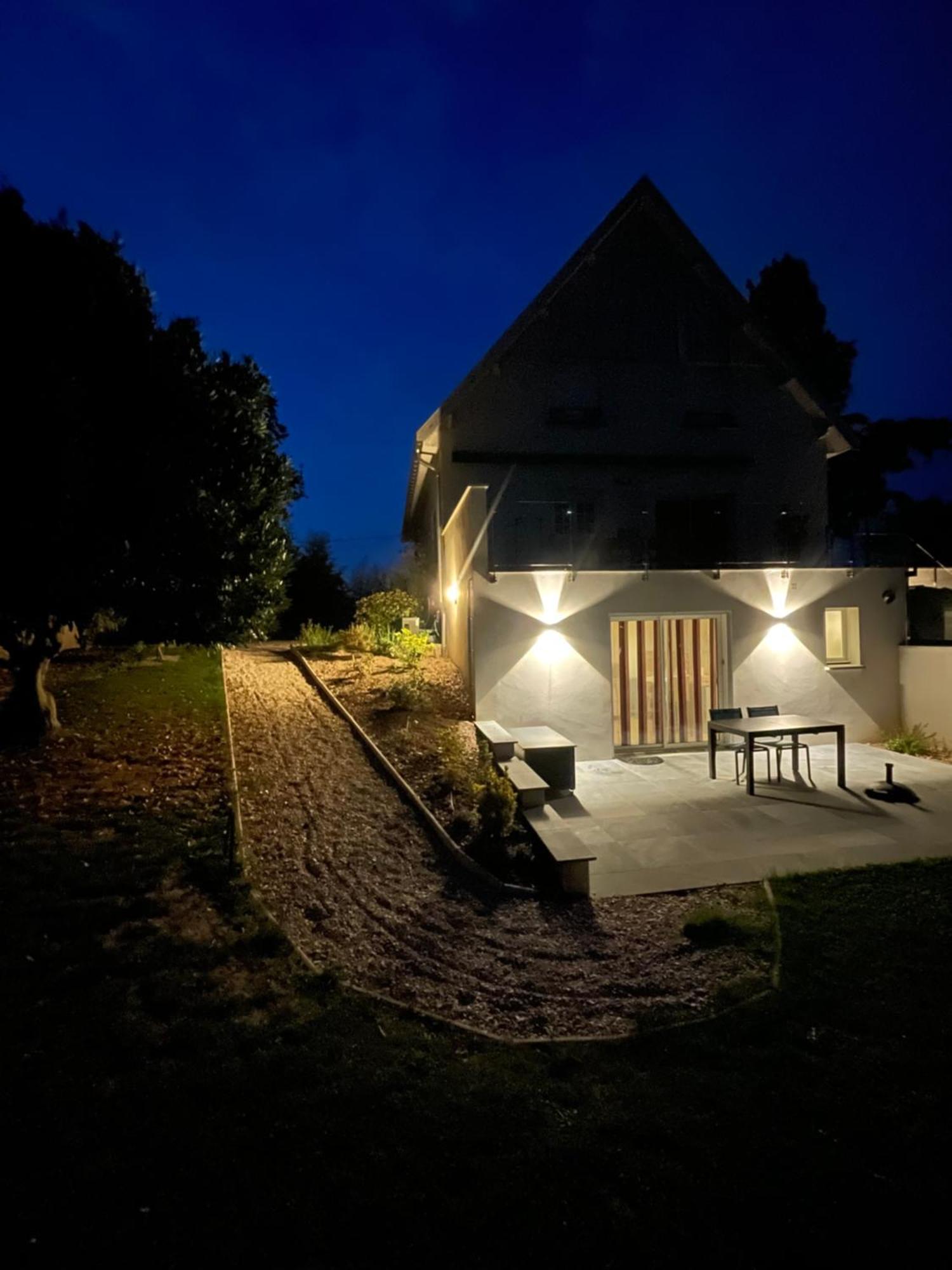 Best View, Pool And Spa On The Champagne Vineyard Saint-Thierry Kültér fotó